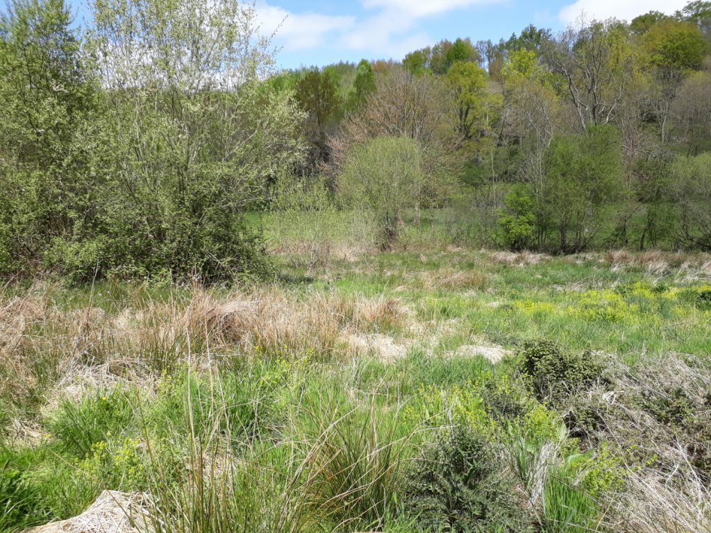 Field site in France