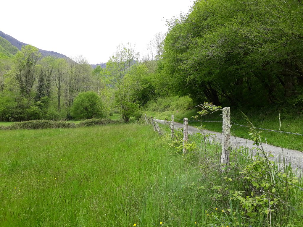 Field site in Ariège
