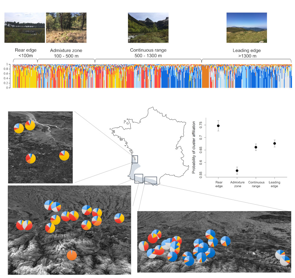 Figure 1 - Diversity and distributions